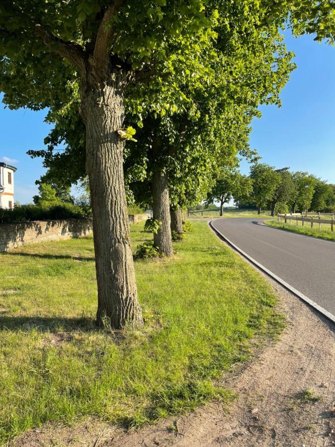 Mitten In Der Natur : Ferienwohnung Mit 3 Schlafzimmern, Neu Eingerichtet Neu Gaarz Exterior photo